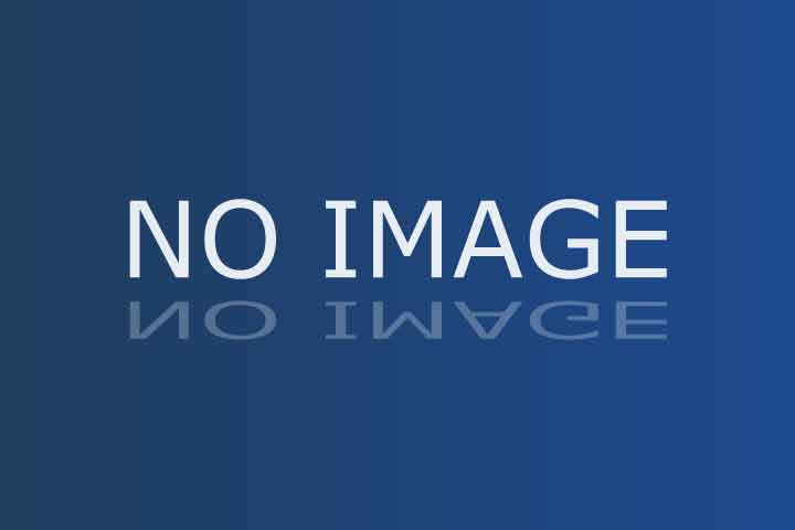 NoImage