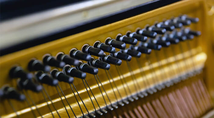 有限会社 シャルダン商会